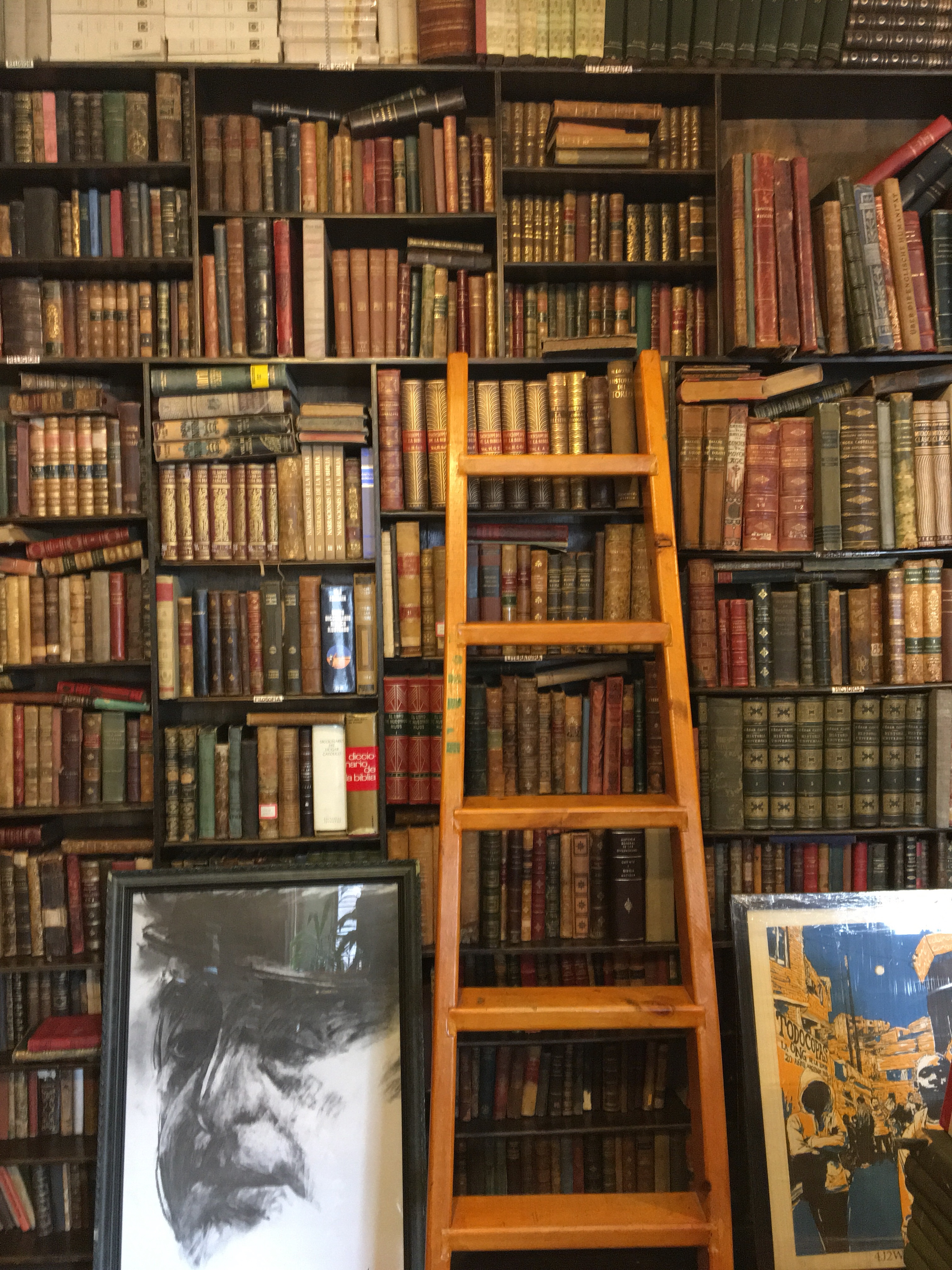 Merlín Books – Bogota, Colombia